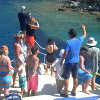 Cruises, Sailing & Water Tours