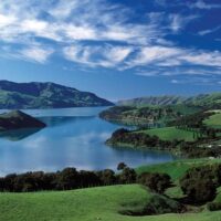 Bus & Minivan Tours