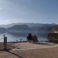 Private Sightseeing Tours