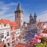Airport & Ground Transfers