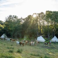 Multi-day Tours