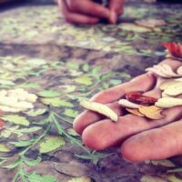 Literary, Art & Music Tours