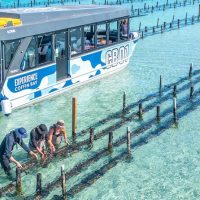 Boat Tours