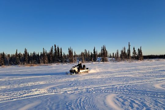 Valentine's Day in Northwest Territories