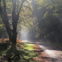 Photography Tours