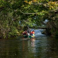Boat Tours