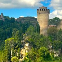 Private & Custom Tours