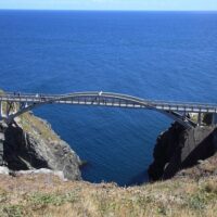Holiday & Seasonal Tours