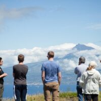 Full-day Tours