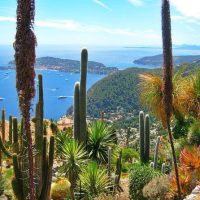 Bus & Minivan Tours