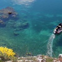 Full-day Tours