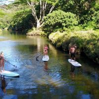 Boat Rentals