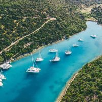 Cruises, Sailing & Water Tours