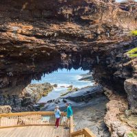 Bus & Minivan Tours