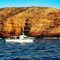 Boat Tours