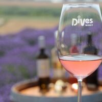 Holiday & Seasonal Tours