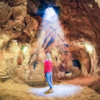 Bus & Minivan Tours