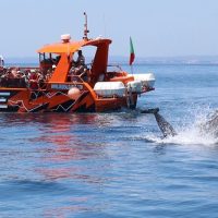 Full-day Tours