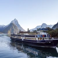 Bus & Minivan Tours