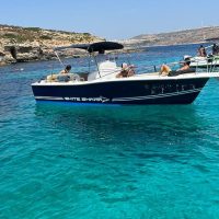 Private & Custom Tours