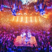 Shows, Concerts & Sports