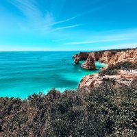 Bus & Minivan Tours