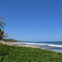Half-day Tours