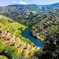 Private & Custom Tours