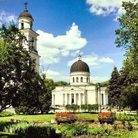 Private & Custom Tours
