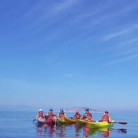 Cruises, Sailing & Water Tours