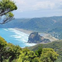 Private Sightseeing Tours