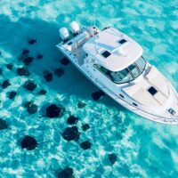 Day Cruises