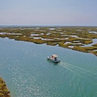Eco Tours