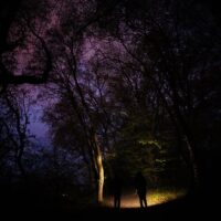 Night Tours