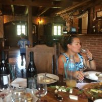 Shore Excursions