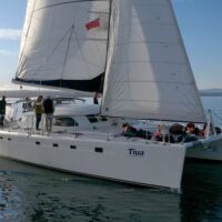 Sailing Trips