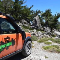 Half-day Tours