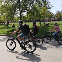 Tours & Sightseeing