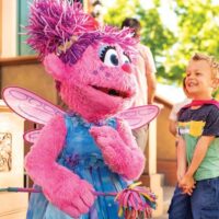 Theme Park Tickets & Tours