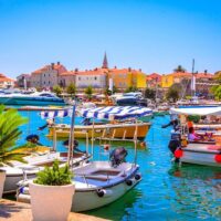 Bus & Minivan Tours