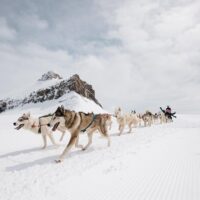 Skip-the-Line Tours
