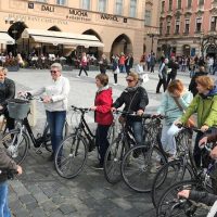 Half-day Tours