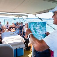 Day Cruises