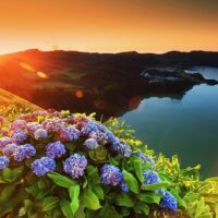 Sustainable Tours