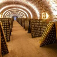 Wine Tasting & Winery Tours