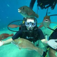 Sustainable Tours