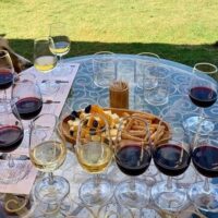 Wine Tasting & Winery Tours