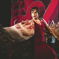 Theater, Shows & Musicals