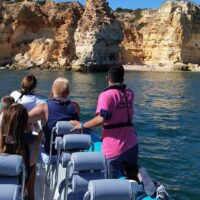 Private Sightseeing Tours