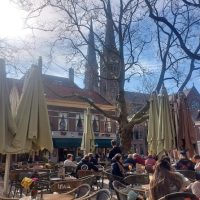 Day Trips & Excursions